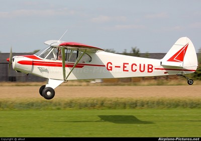 Dynaflite Piper PA18 Super Cub 104'' Spannplan Set