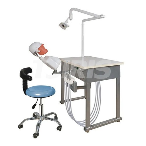 Dental Practice Simulator System Teaching Device Patient Manikin Phantom Model - Picture 6 of 6