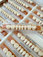 Acrylic Resin False Teeth Accutone Posterior Lower A1/59-31Z dentures box 160pcs