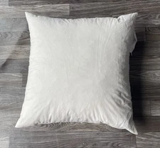 IKEA 19 x 19 inch Waterfowl Down Feather Pillow Insert CLEAN ODOR-FREE