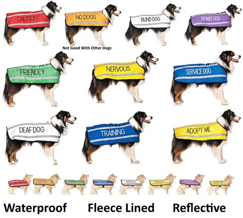 Strong As Leather Colour Coded S M XL Collar Or Lead By Friendly Dog Collars - Picture 5 of 33