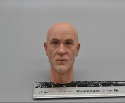 DID D80123 1/6 WWII German Major General -Head Sculpt Model | eBay ...