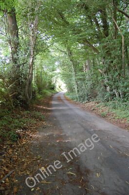 Photo 12x8 Foxhole Lane through Tongs Wood Field Green  c2011