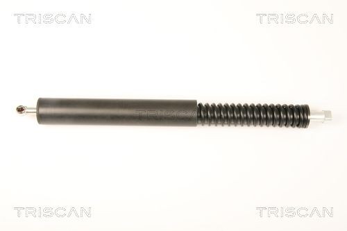Triscan Gasfeder, Heckscheibe 8710 28246 FüR Peugeot-image