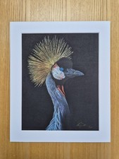 Grey Crowned Crane Limited Edition Fine Art Print 