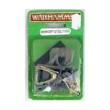 GW WHF Bretonnians Knights of the Realm Standard Bearer (Variant 1) Pack New