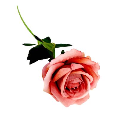6x Luxus Soft Touch Rosen - 6x - HALBES DUTZEND PREMIUM QUALITÄT künstlich
