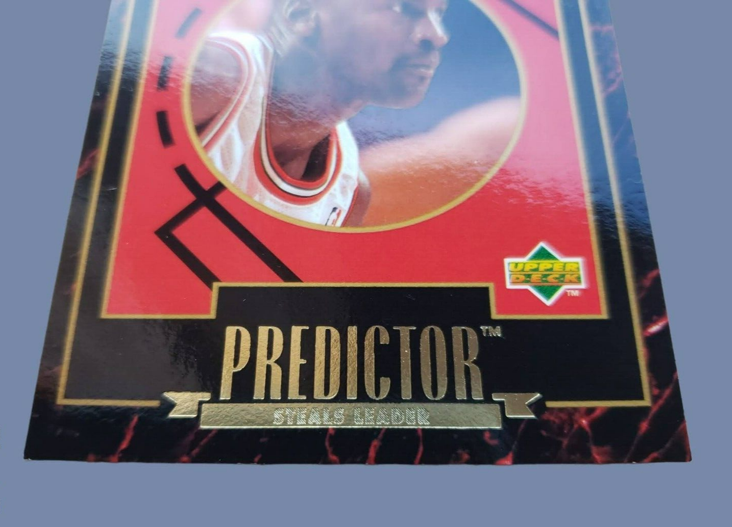 Picture 12 of 19