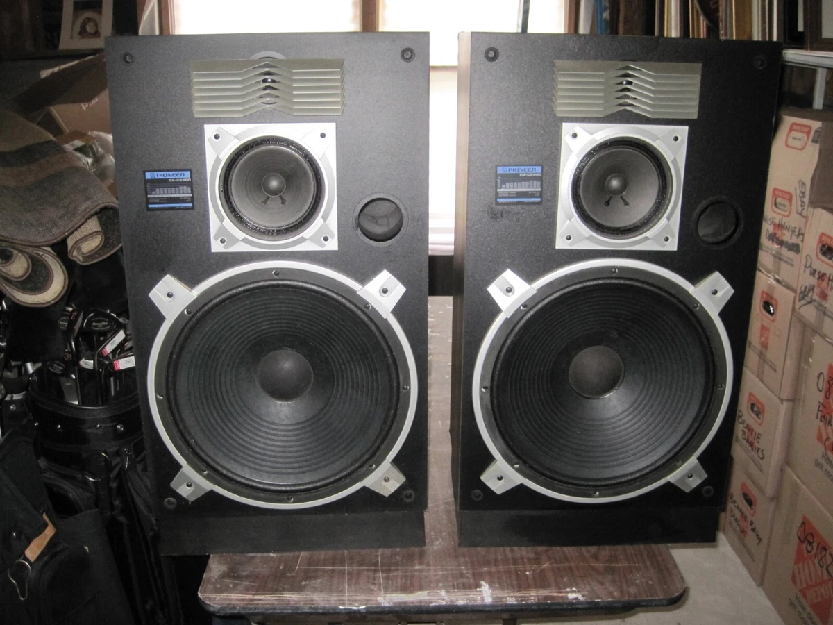 Ebay pioneer store speakers