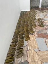 10 Pairs Vintage Shoe Lasts – Cobbler Shoemaking Repair Tools – Free Ship