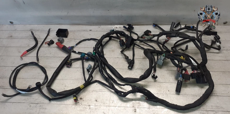 FAISCEAU ELECTRIQUE HARLEY 750 STREET ROD de 2017 à 2020 - réf : 115 - Photo 1/4