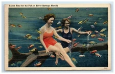 Postcard Lunch Time for Fish at Silver Springs Florida Women in Swimsuits Posted