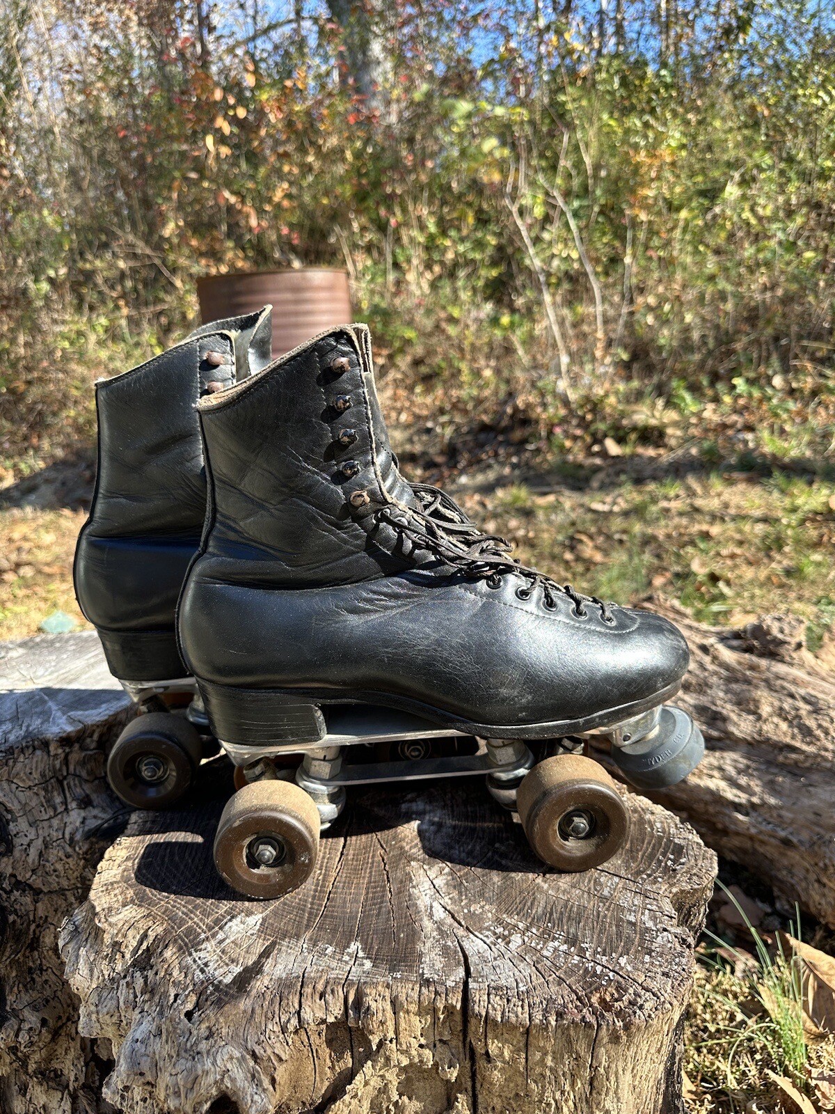 Douglass Snyder Super Deluxe Roller Skates Riedell Red Wing Boot
