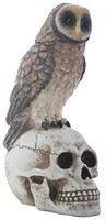 Big Brown Owl On Skeleton Skull Halloween Decorative Statue Figurine Big Brown Owl On Skeleton Skull Halloween Decorative Statue Figurine