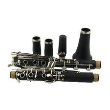 Clarinet Bb ABS 18-Key Flat with Carry Case Gloves Cleaning Cloth Reed Case
