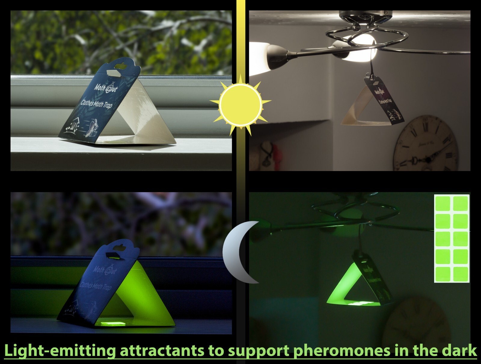 MothOut 10 Pheromone Clothes Moth Traps, Carpet Moth Killer, Anti Moth