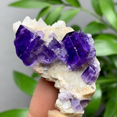 36G Natürliche Transparente Lila Kubische Fluorit Mineral Probe Innere Mongolei - Bild 10 von 21
