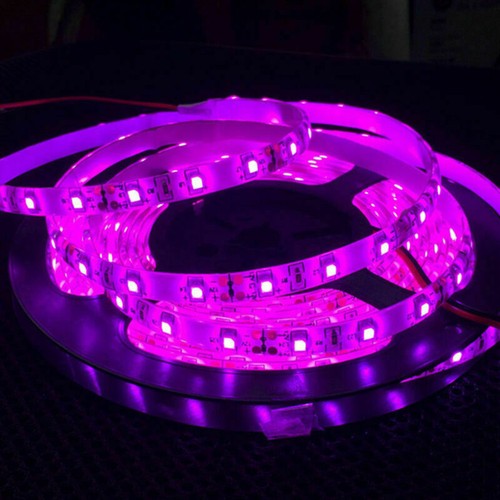 Bright 12V 5M 16.4ft 3528 5050 5630 RGB SMD 300 LEDs Flexible Strip light Lamp - Picture 15 of 16