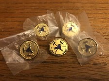 Lot 5 NYS Geological Survey Pins Geology 