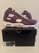 Nike Air Trainer SC Atlanta Olympics 30th Ann...