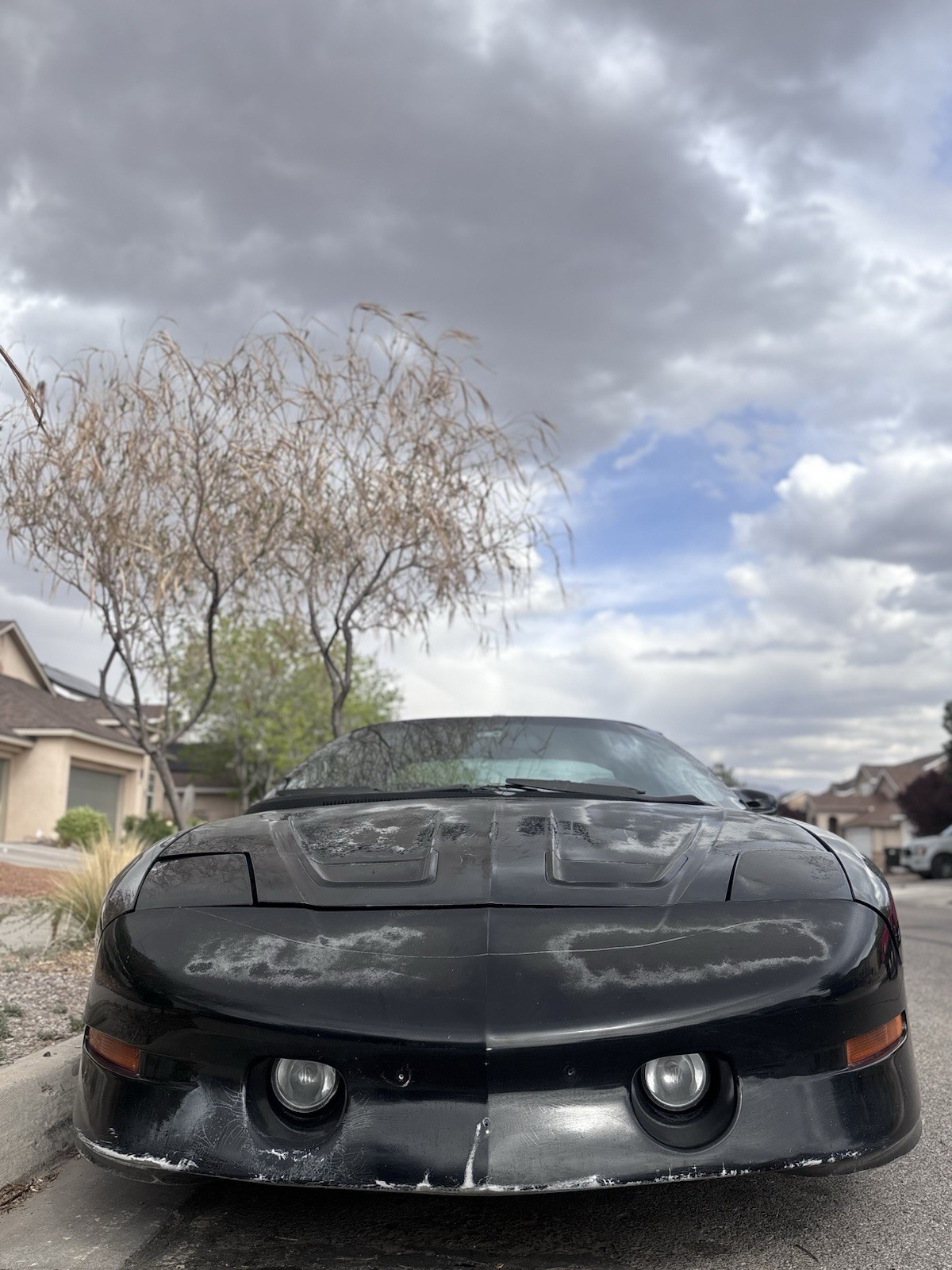 1997 Pontiac Firebird for sale in Rio Rancho New Mexico