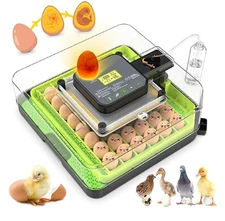 48-Egg Incubator with Auto Egg Turning Temperature & Humidity Control 360° View
