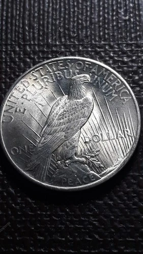 1925  Peace Silver Dollar    SM-70    (I don't collect them--Good Luck)