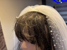 Bridal Cathedral veil rhinestones pearls edge