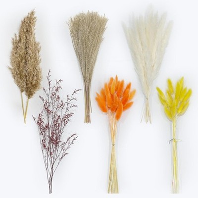 97 PCS Natural Dried Pampas Grass Bouquet, 17'' Fall Floral for Boho Rustic