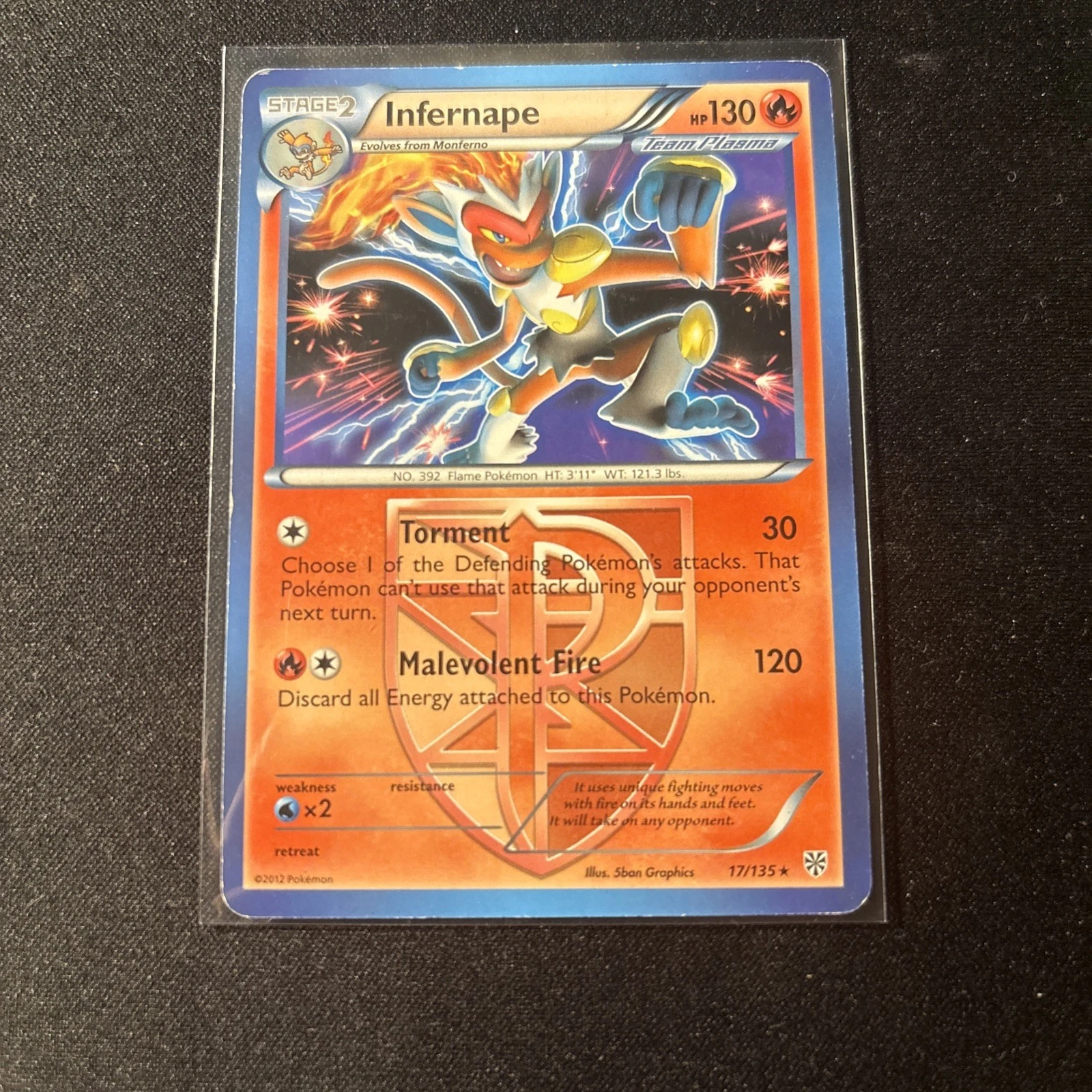 Pokémon Infernape Team Plasma 17/135 Plasma Storm Holo Rare NM