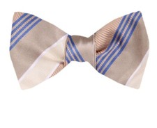 Men's 100 Silk Designer Stripe Self Tie Woven Bowtie- NWT