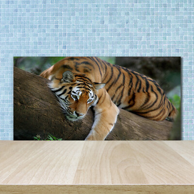 Küchenrückwand Spritzschutz aus Glas 100x50 Deko Tiere Tiger auf Baum