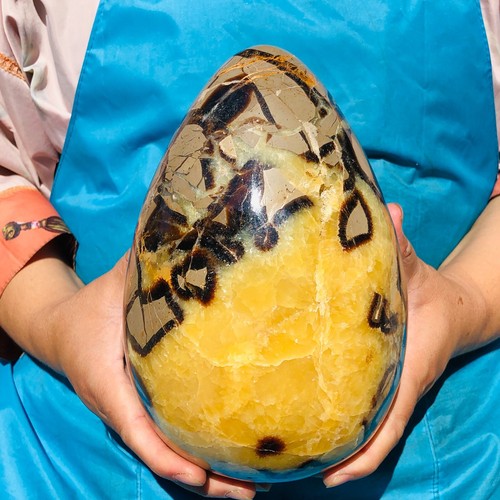 10.62LB Top Natural Dragon Septarian Crystal geode Quartz egg mineral Specimen - Picture 7 of 17