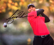 Tiger Woods Subject of New Comic Book 18