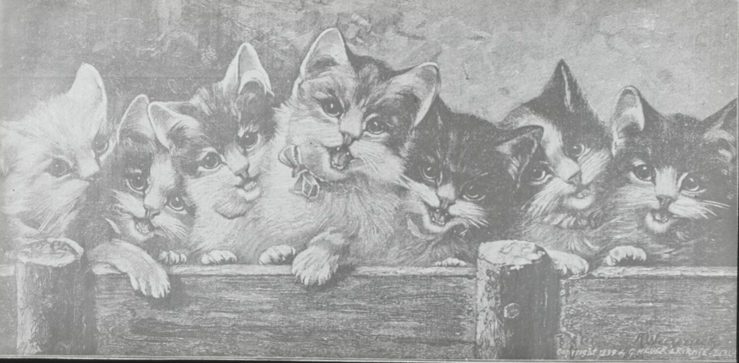 Banda De Jóvenes Gatos, Dibujo, Foto Antigua Placa De Vidrio, Positivo 8,5x10 Cm