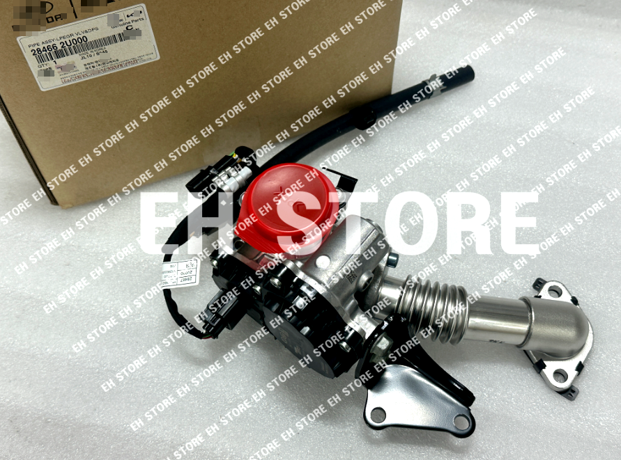 Genuine PIPEASSY-LPEGR VLV&DPS 284662U000 28466-2U000 For Tucson