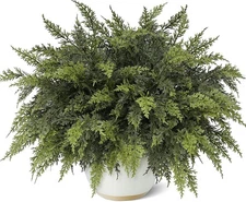 18" Real Touch Cedar Branches -12 Pcs, Artificial Christmas Cedar Branch Realist