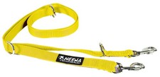 Adjustable Dog Leash 3m/10ft Yellow