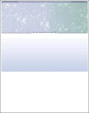 1000 Blank Check Stock - Computer Business Check on Top - Blue/Green Prismatic 