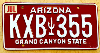 パピヨン　額付プリント　アメリカン　シリアルナンバー付き ARIZONA CACTUS PASSENGER LICENSE PLATE 
