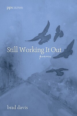 Still Working It Out Davis, Brad Paperback