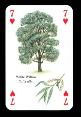 1 x Spielkarte - White Willow Tree - 7 of Hearts ZU 16