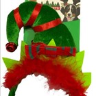Bild 4 von 12