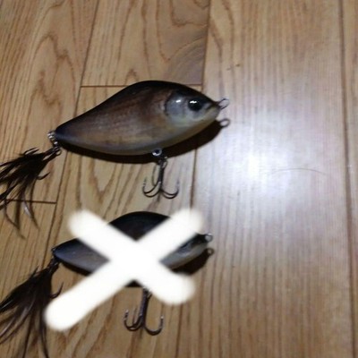 Salmo Fish Skin Big Bait Urethane Coated Fishing Lure