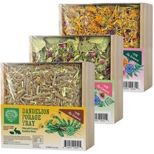Forage Tray Bundle, 3 Pack of Foraging Trays for Rabbit, Guinea Pig, Hamster ...