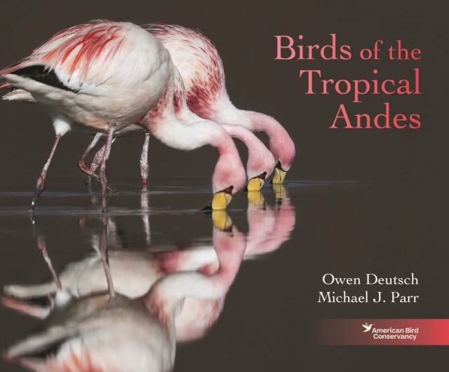 Birds of the Tropical Andes - Image 3