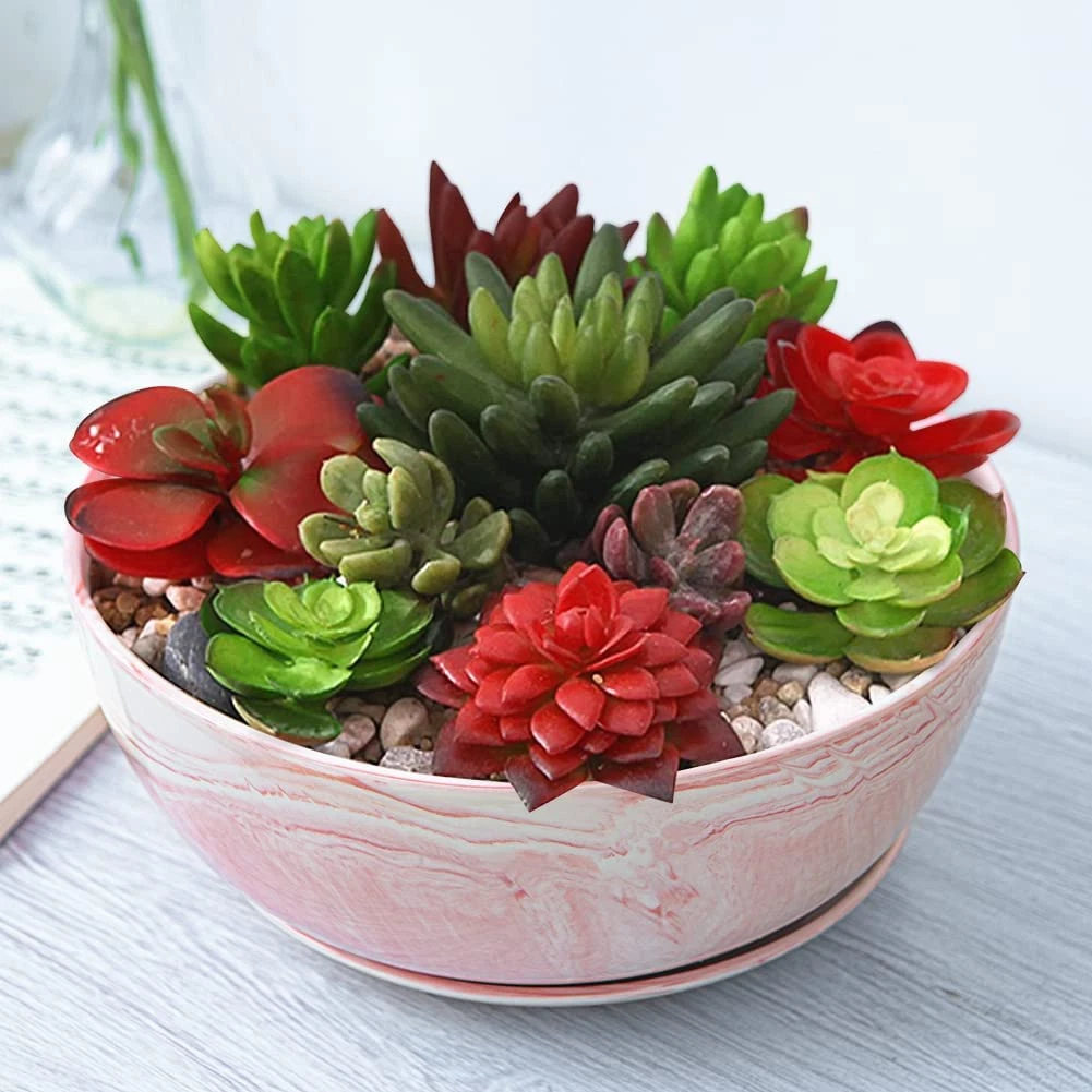 Large online succulent planter