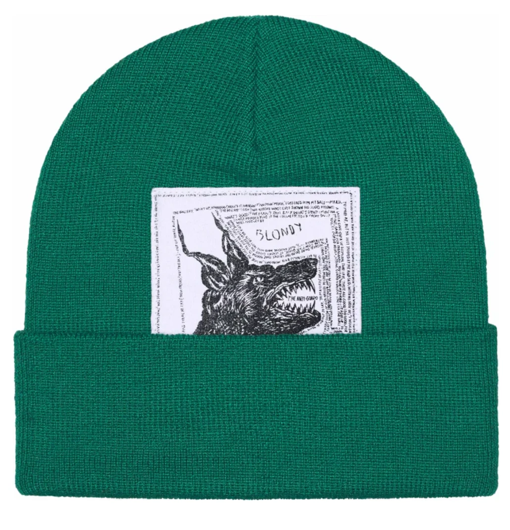 ?NEUF?Bonnet Supreme x The North Face   FW24   Vert