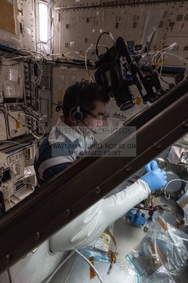 ASTRONAUT CONDUCTING MICROBIOLOGY EXPERIMENT IN KIBO LAB 4X6 PHOTO