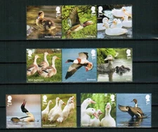 GREAT BRITAIN 2025 FAUNA Animals. Birds DUCKS - MNH